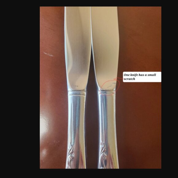 White Orchid Silverplated Flatware Set – Oneida Community Plate, 41 Pieces - Picture 6 of 6